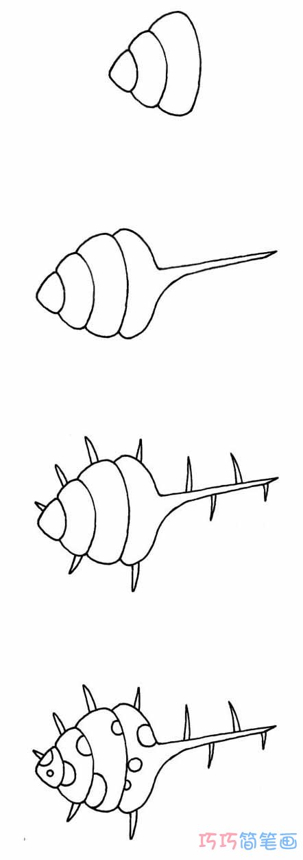 贝壳怎么画简单易学_带步骤图贝壳简笔画图片