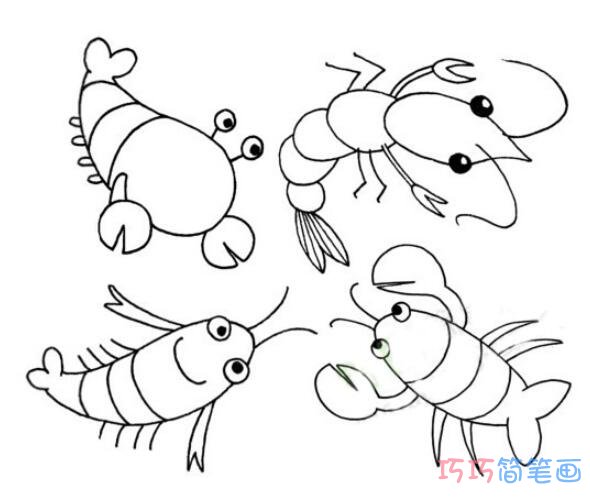 四只虾怎么画可爱_虾简笔画图片