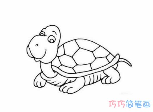  素描乌龟怎么画简单好看_乌龟简笔画图片