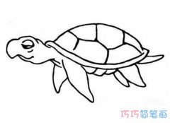 素描乌龟的画法手绘简单_怎么画乌龟简笔画图片