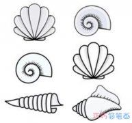 各种贝壳的画法简单好看 怎么画贝壳简笔画图片