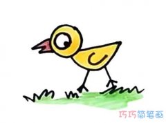 卡通小鸡怎么画涂颜色简单易学 小鸡的画法简笔画图片
