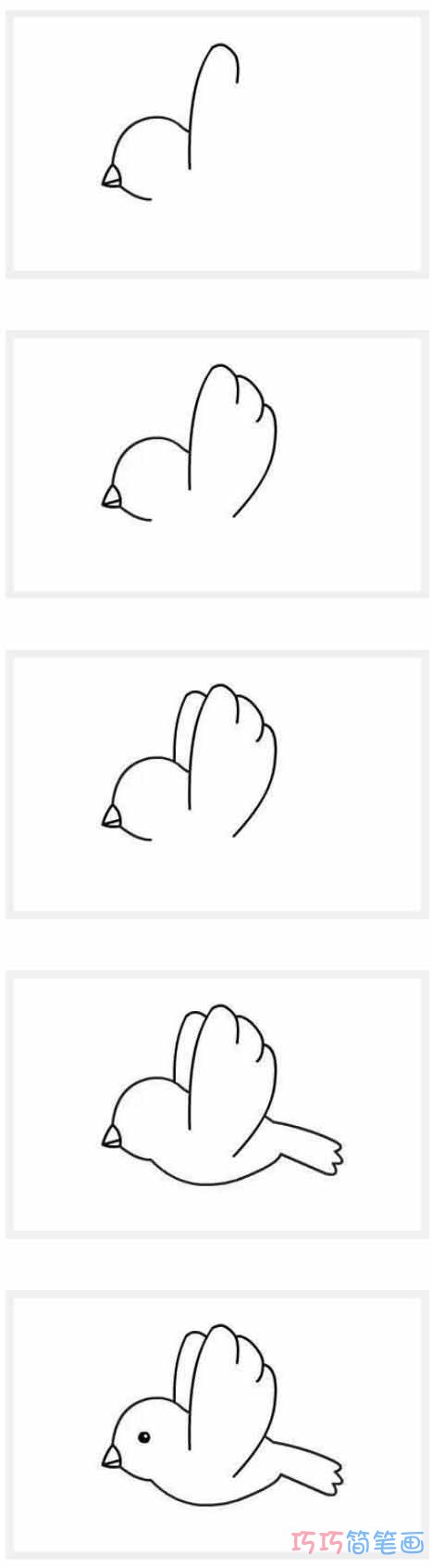 愤怒的小鸟怎么画简单_带步骤图小鸟简笔画图片