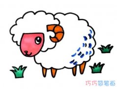 怎么画绵羊涂颜色简单漂亮 绵羊的画法步骤简笔画图片