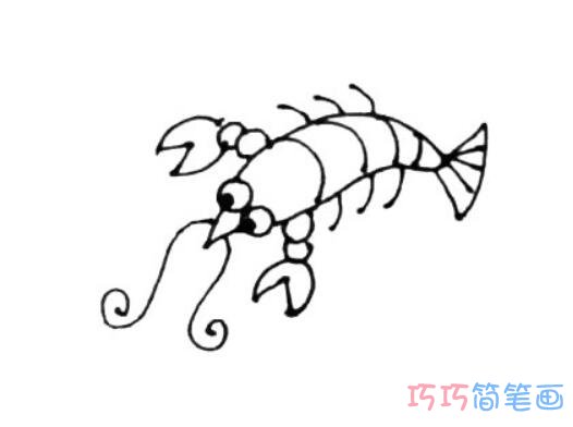  龙虾怎么画可爱好看_龙虾简笔画图片