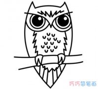 素描猫头鹰怎么画简单 猫头鹰的画法步骤简笔画图片