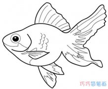 怎么画金鱼素描简单好看 金鱼的画法简笔画图片