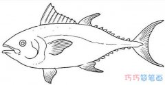 深海鱼素描怎么画好看简单_海洋鱼的画法简笔画图片