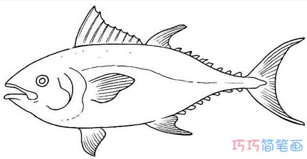 深海鱼素描怎么画好看简单_深海鱼简笔画图片