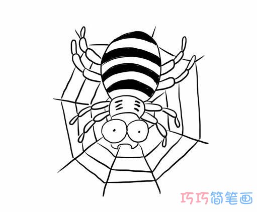 蜘蛛怎么画简单易学_蜘蛛简笔画图片
