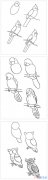 各种鸟儿的画法步骤简单好看 怎么画小鸟简笔画图片