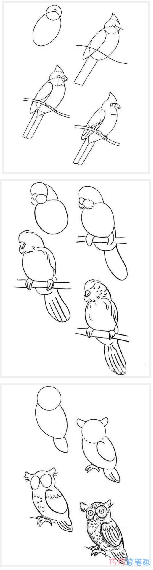 各种鸟儿怎么画好看可爱_鸟儿简笔画图片