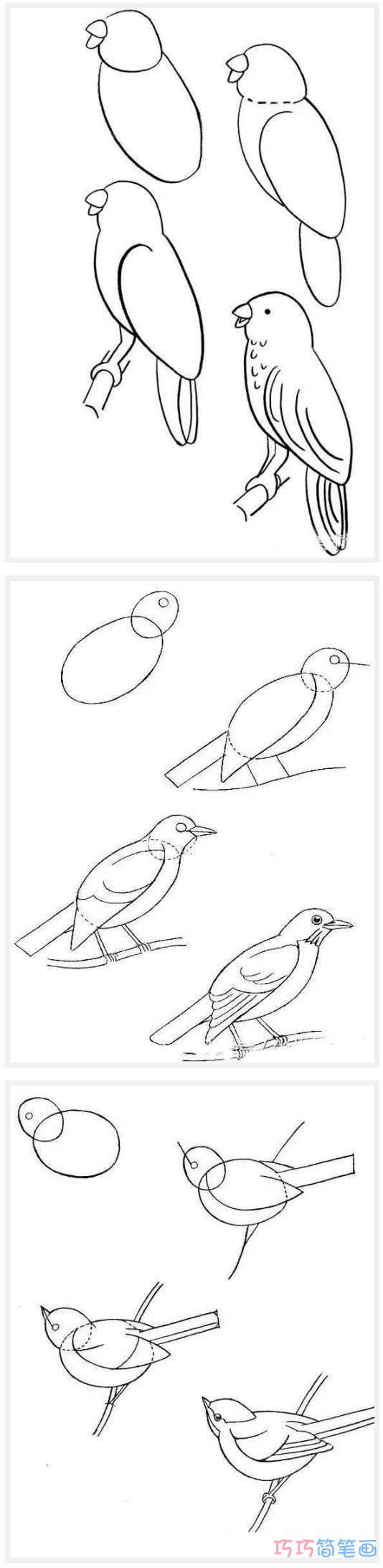 各种鸟儿怎么画好看可爱_鸟儿简笔画图片