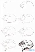 小猫素描的画法步骤图简单 怎么画小猫简笔画图片