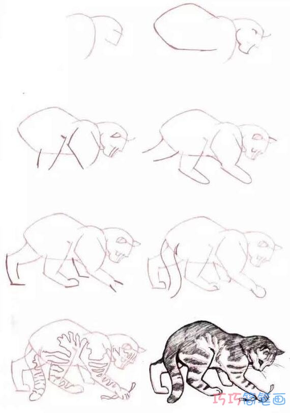 小猫素描怎么画可爱逼真_小猫简笔画图片