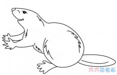 土拨鼠素描怎么画简单 土拨鼠的画法简笔画图片