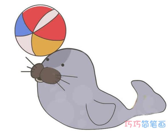 小海豹顶球怎么画可爱_带步骤图海豹简笔画图片