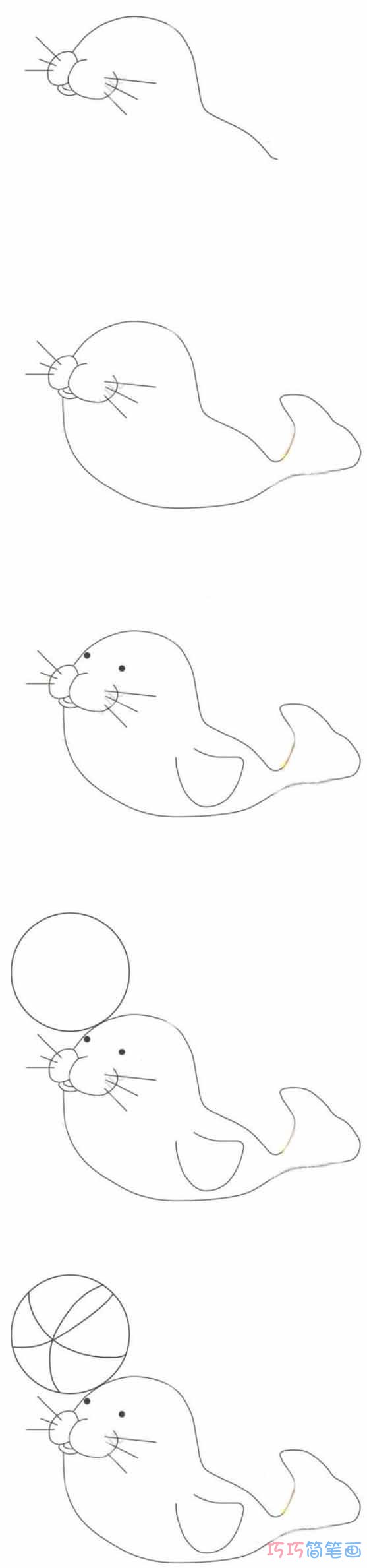 小海豹顶球怎么画可爱_带步骤图海豹简笔画图片