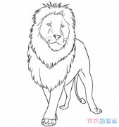 狮子素描怎么画简单好看 狮子的画法简笔画图片