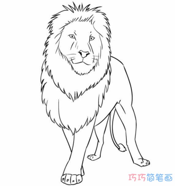 狮子素描怎么画简单好看_狮子简笔画图片