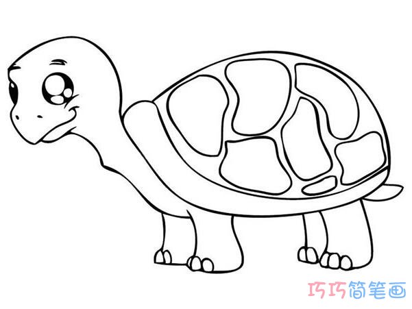 乌龟素描怎么画简单可爱_乌龟简笔画图片