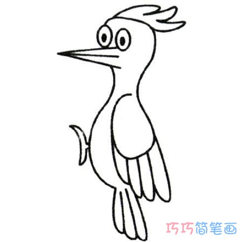 啄木鸟怎么画简洁易学_带步骤图啄木鸟简笔画图片