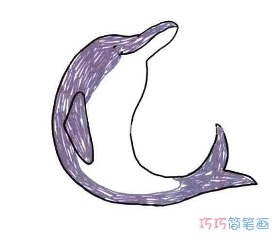 海豚怎么画简单好看_彩色海豚简笔画图片