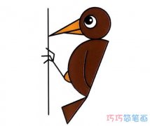 啄木鸟怎么画涂色简单好看_啄木鸟的画法简笔画图片