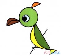 卡通鹦鹉怎么画涂色可爱_鹦鹉的画法简笔画图片