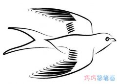 小燕子素描怎么画简单易学 燕子的画法简笔画图片