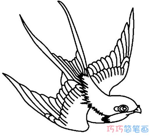 燕子素描怎么画简单易学_燕子简笔画图片