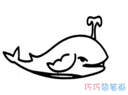 小鲸鱼怎么画简单易学_鲸鱼简笔画图片