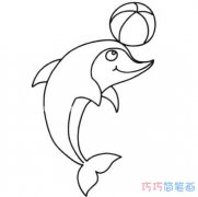海豚顶球的画法简单可爱_怎么画海豚简笔画图片