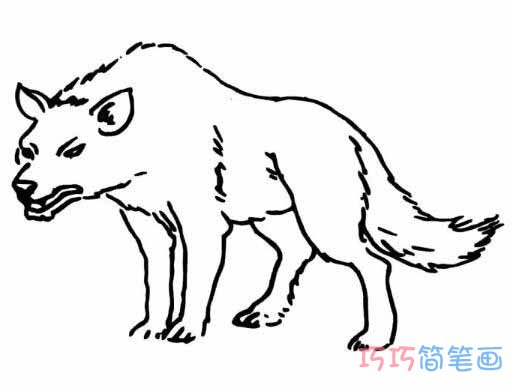 狼狗素描怎么画逼真好看_狼狗简笔画图片