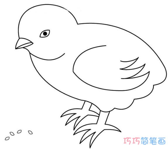 小鸡啄米怎么画简洁好看_小鸡简笔画图片