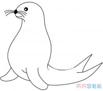 卡通海豹的简单画法手绘_怎么画海豹简笔画图片