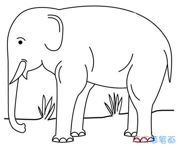 大象怎么画可爱简单_大象简笔画图片