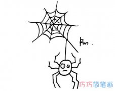 万圣节蜘蛛简笔画图片 手绘蜘蛛的简单画法教程