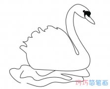 手绘天鹅简笔画图片 美丽天鹅的画法步骤图片