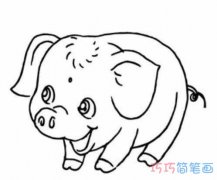 可爱猪宝宝简单画法手绘教程_小猪怎么画简笔画图片
