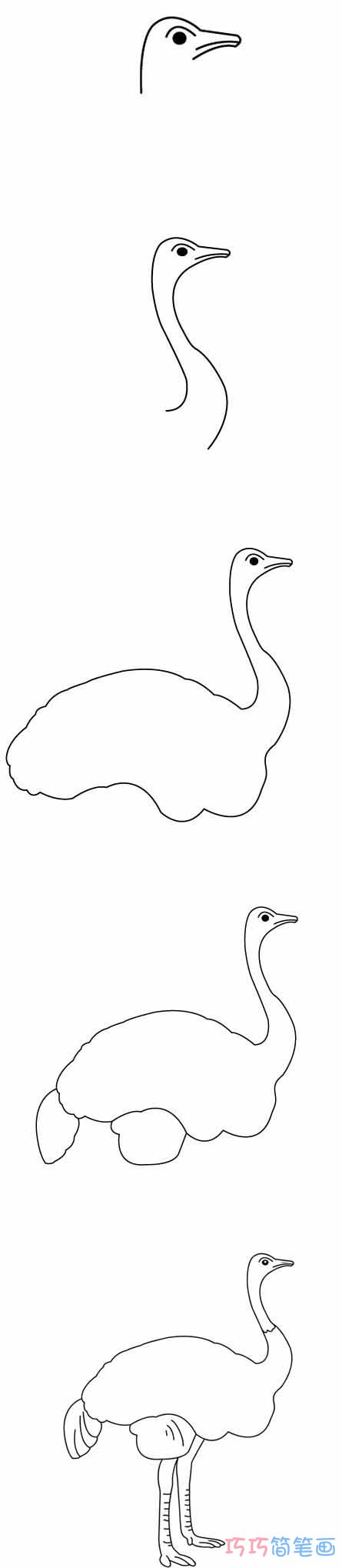 鸵鸟怎么画简单好看_带步骤图鸵鸟简笔画图片