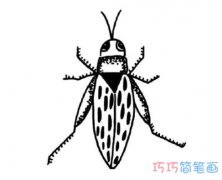 各种小昆虫的画法简单易学_手绘昆虫简笔画图片