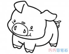 猪年简笔画图片大全_呆萌小猪怎么画简单可爱