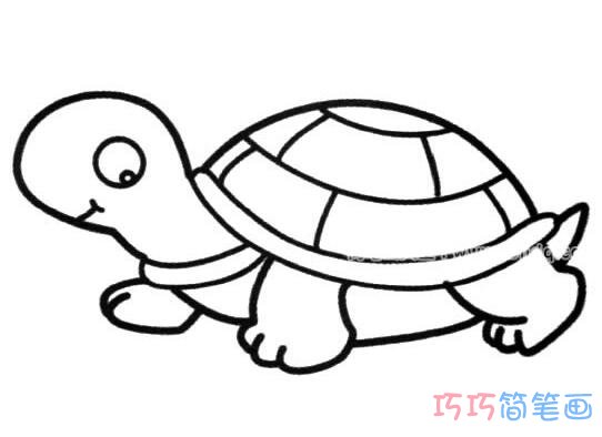 小乌龟怎么画简单可爱_乌龟简笔画图片
