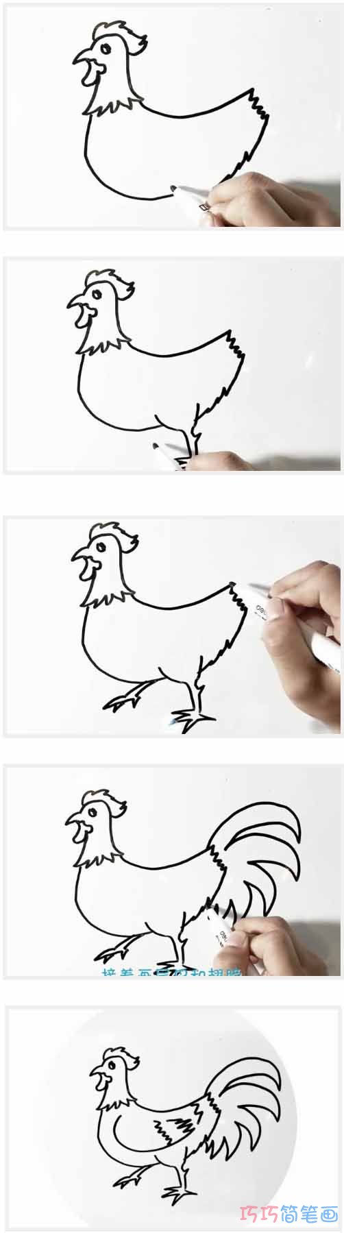  大公鸡手绘怎么画简单好看_带步骤图公鸡简笔画图片