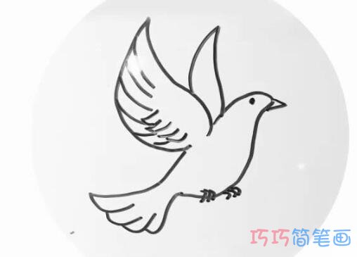 飞翔和平鸽怎么画简单_带步骤图鸽子简笔画图片