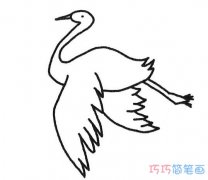 丹顶鹤素描怎么画简单好看_丹顶鹤简笔画图片