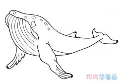 怎么画鲸鱼素描简单好看_手绘鲸鱼简笔画图片