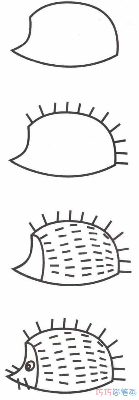 刺猬怎么画多彩可爱_带步骤图刺猬简笔画图片
