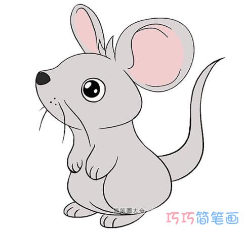 卡通老鼠怎怎么画可爱好看_老鼠简笔画图片